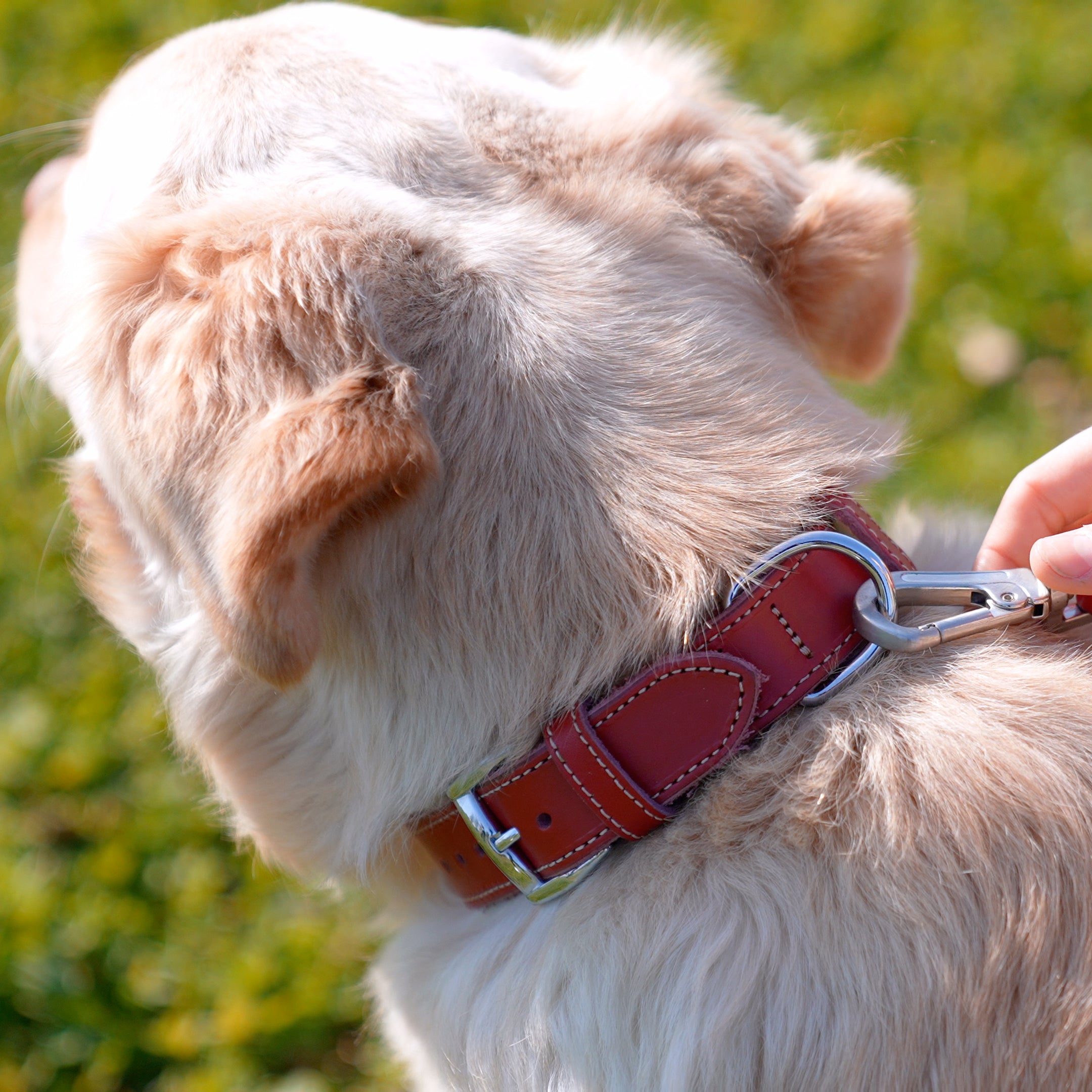 How long does it take for a leather dog collar to be shipped?