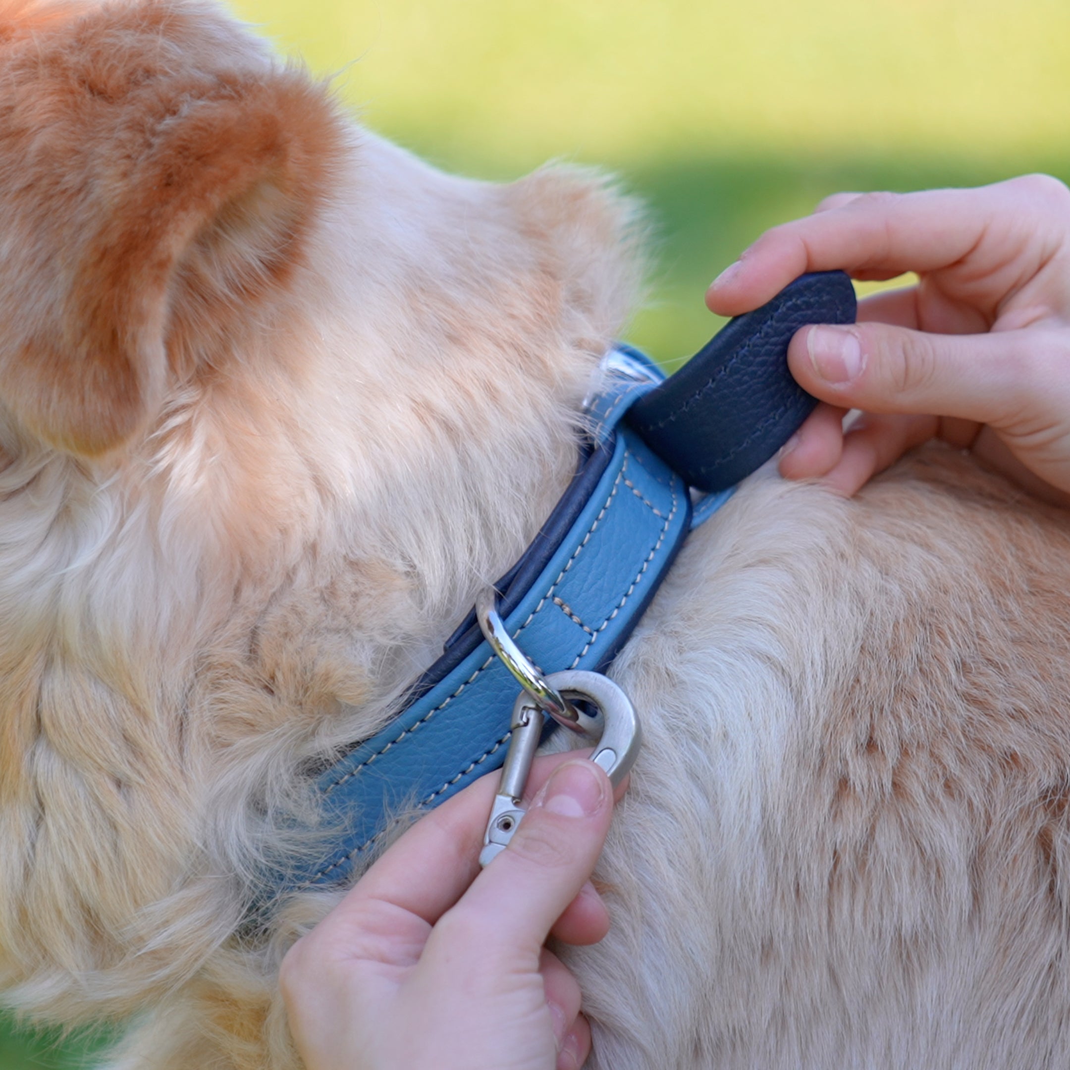 For which dogs is a leather dog collar suitable?