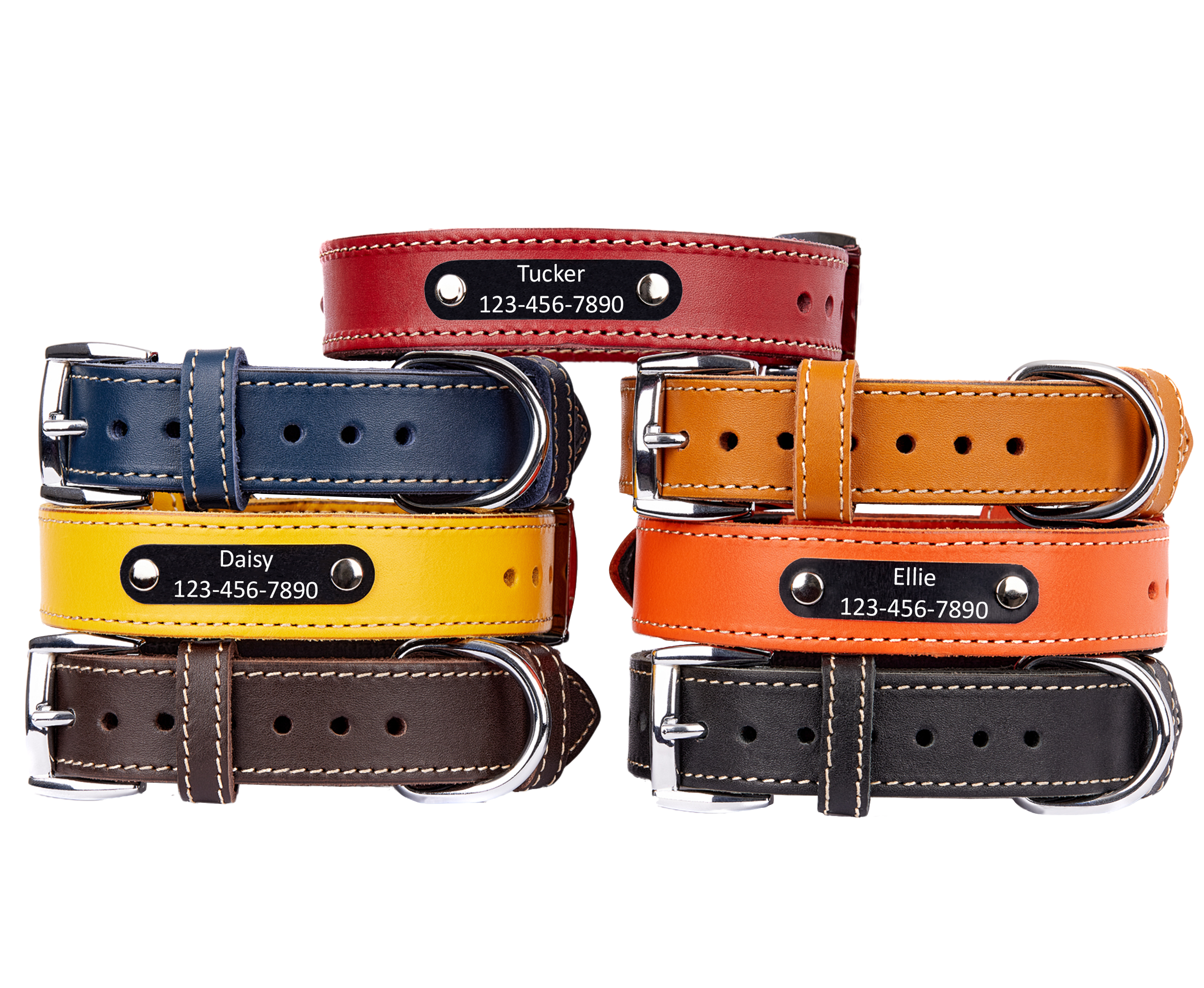 Personalized Dog Collars 🐾