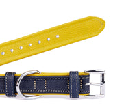 Navy Blue and Mustard Dog Collar