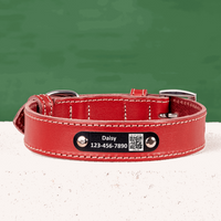 TORRUNA Genuine Leather Dog Collar