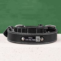 personalized leather dog collar