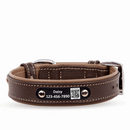 dog collar leather