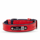 personalized dog collar