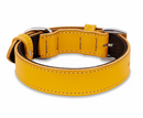 Geniune Leather Yellow Dog Collar