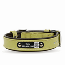 Smart Dog Collar