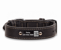 qr code dog collar