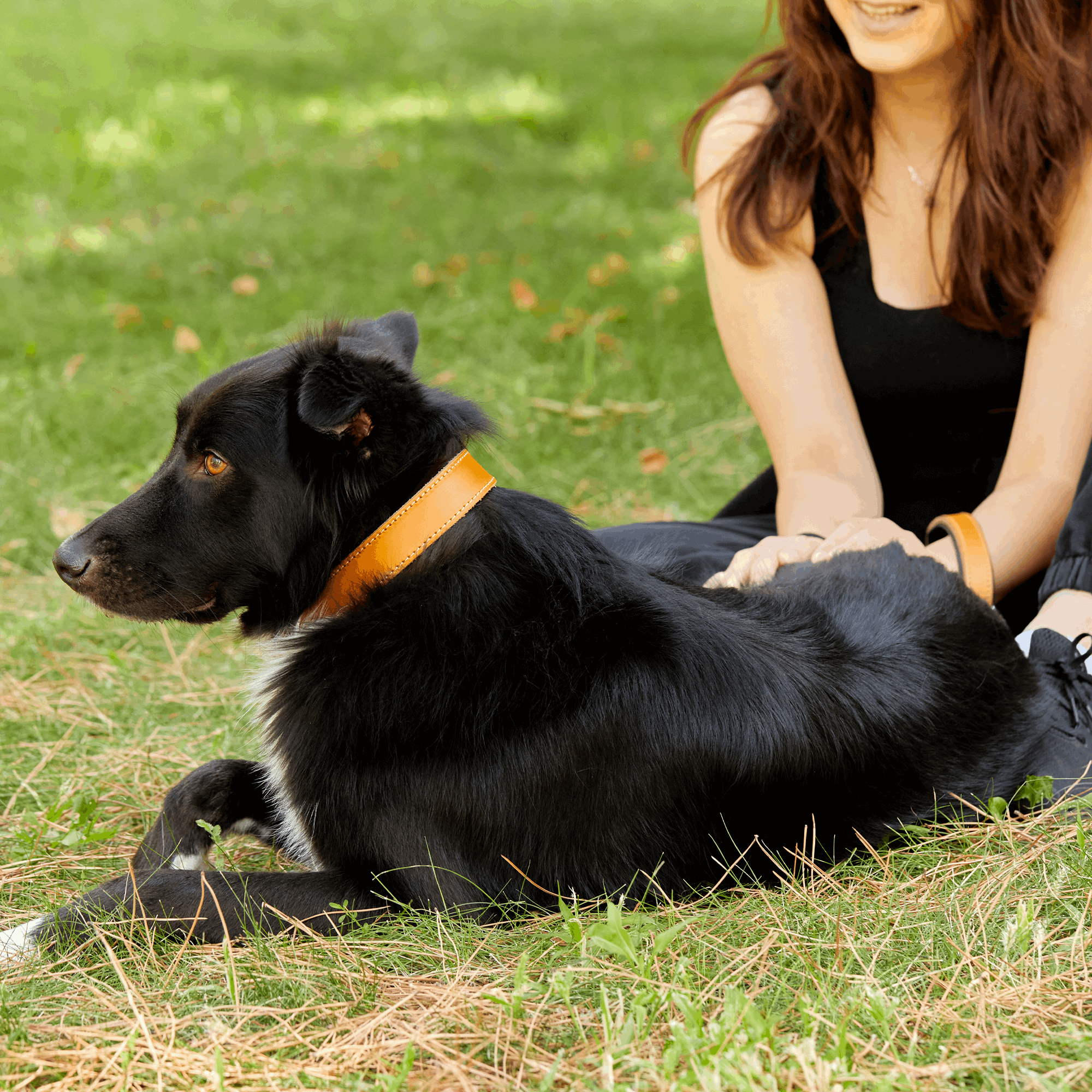 Mustard Leather Dog Collar