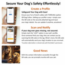 Safe Dog Collar