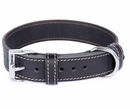 Black Dog Collar