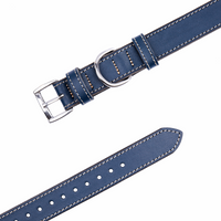 Blue Leather Dog Collar