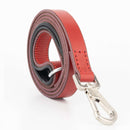 Red Dog Leash