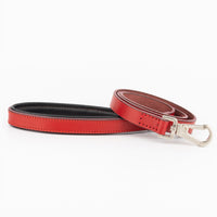 Red Dog Leash