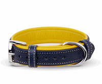 Navy Blue and Mustard Dog Collar