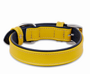 Geniune Leather Mustard Dog Collar