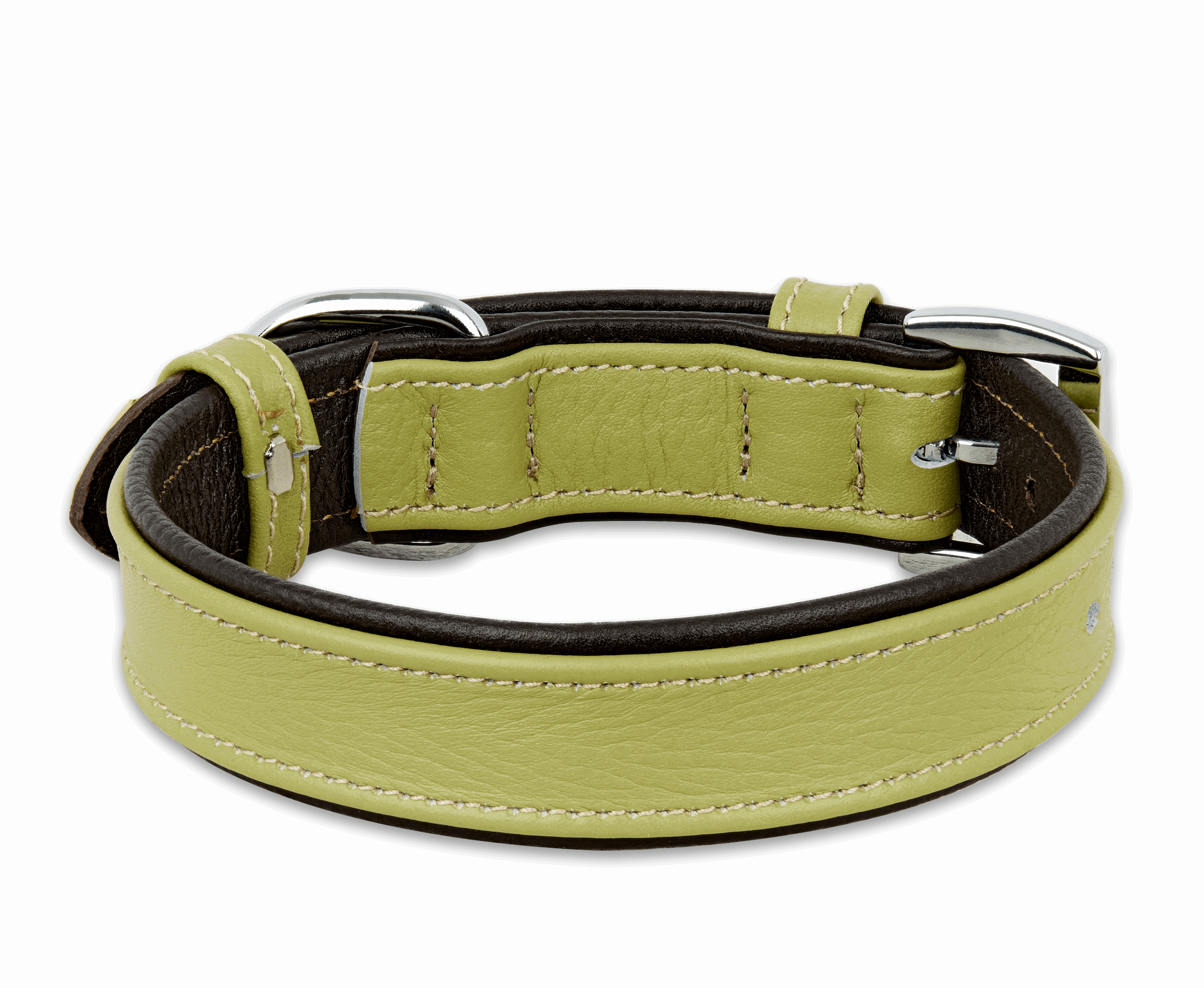 Best Leather Dog Collar